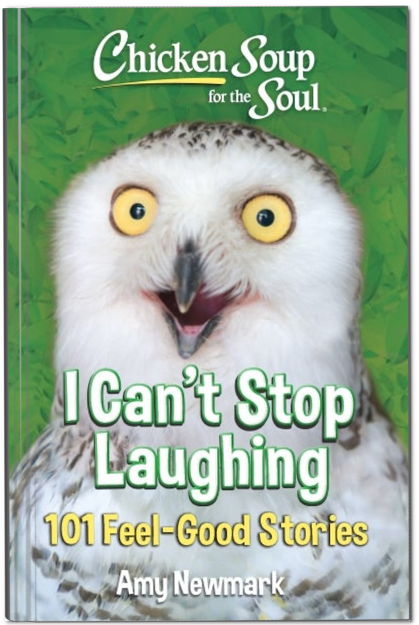 Chicken Soup for the Soul: I Can't Stop Laughing